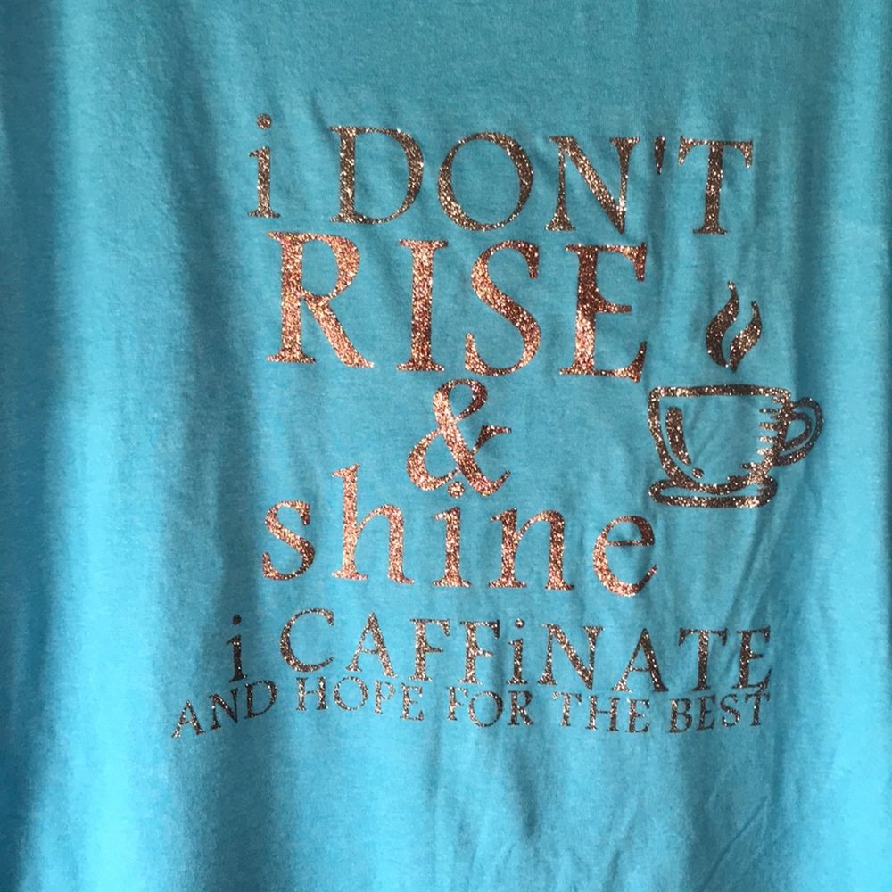 NWOT Hanes size Large blue t shirt vinyl saying
